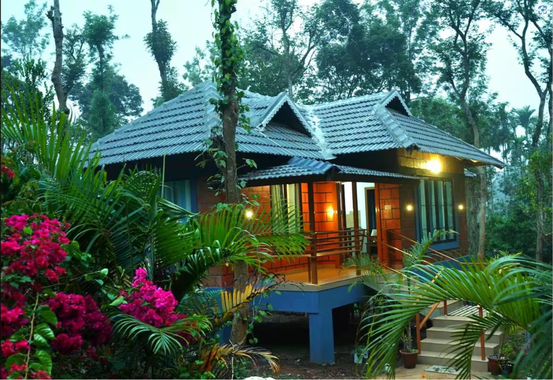 Rainforest Homestay in the Wayanad Hills